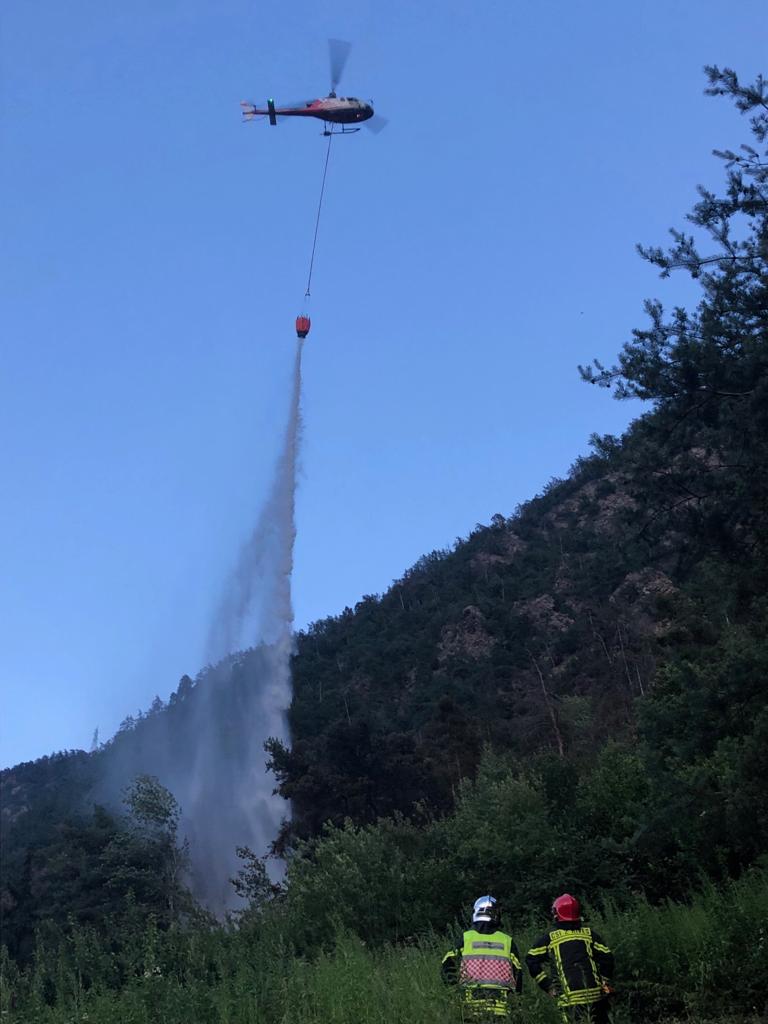 600 mètres carrés de forêt ont été la proie des flammes à Riddes